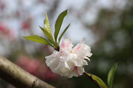 御龙在天65级挂机点 除上述调规楼栋