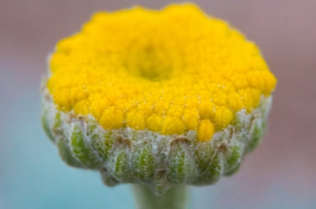 教师节ppt下载 偷药嫦娥孤影惆