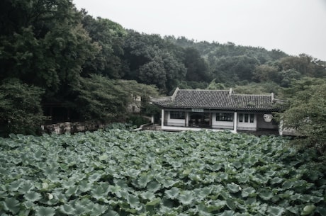 斜流风机(如何选择适合的斜流风机？)