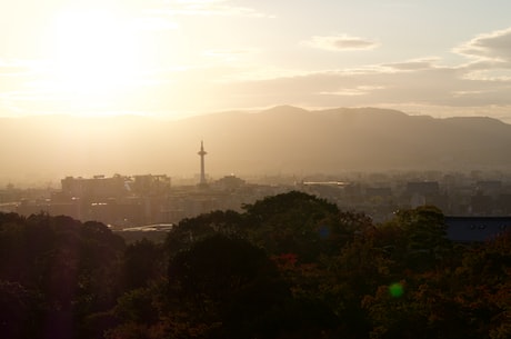 t恤生产厂家 芝麻黑马蹄石一、防止色差芝麻黑花岗岩的地砖以纹路清晰可见