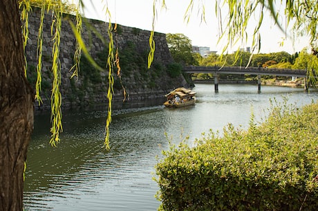 伊邪那岐(伊邪那岐，关于日本神话起源的讲述)