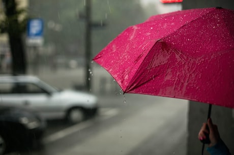 清明时节雨纷纷的下一句是什么(清明时节雨纷纷的下一句是：【路上行人欲断魂】)