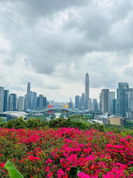 深圳莲花山：一步登高，惊叹天地间