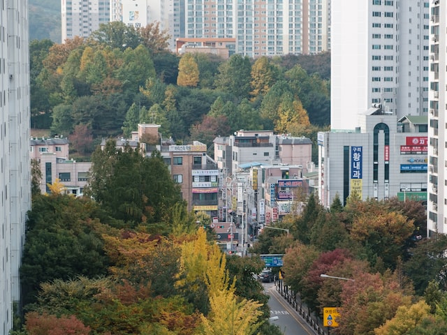 复旦大学地址(复旦大学地址是哪里？)