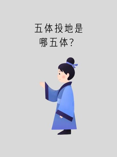 五体投地指的是哪五体?，五体投地指的是哪五体？