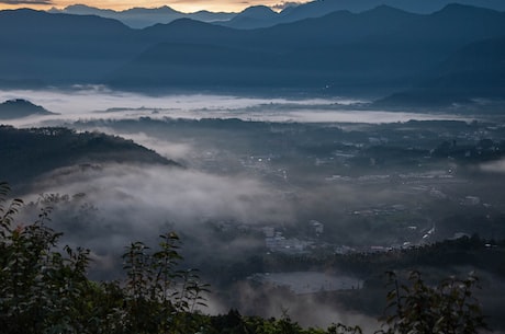 非你莫属 李晨(李晨成功入驻非你莫属，成为新一季嘉宾！)