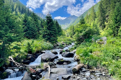 逆流顺流(顺流逆流，美丽华山之旅)