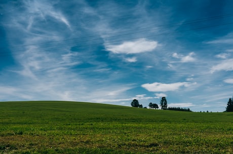 windows xp(Windows XP：回顾经典操作系统)