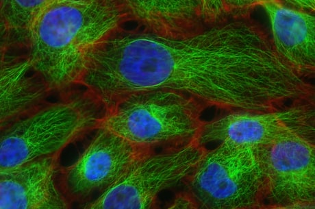 专生本：提供给大学生的生物医学启蒙读物