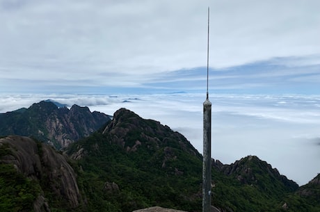 探访黄希扬：让荒山变金山的金山银山