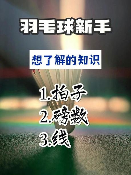 波力羽毛球拍，想更上一层楼？教你如何选择波力羽毛球拍