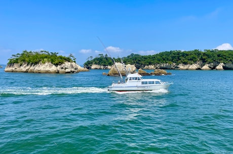 飞极速在线浏览器 轻松切换不同界面