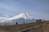 八大山人(八大山人：中国画坛宗师的传奇人生)