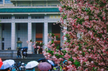 平顶山城建学院(探索平顶山城建学院的优美之旅)