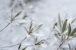 景瑞雪：获得了普华永道的最佳战略合作伙伴