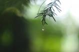 株洲天气预告：未来一周延续多雨，注意提防中暑